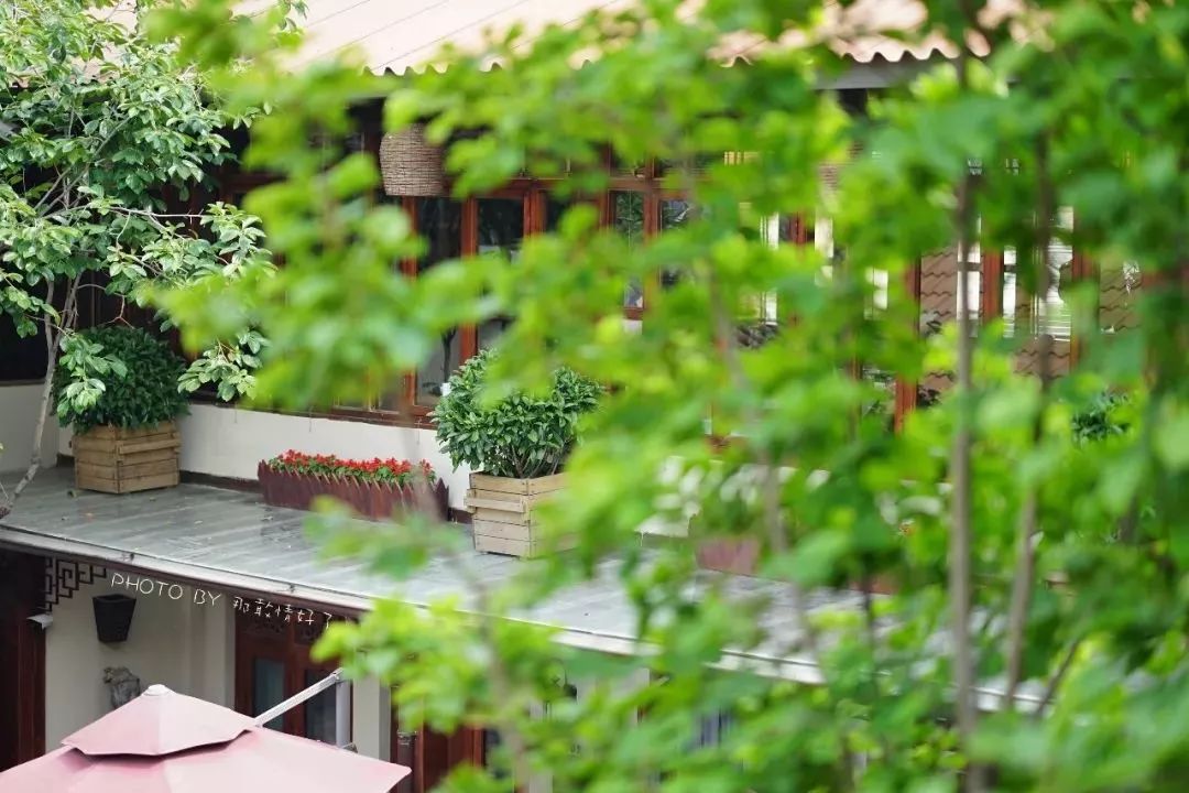 故宫北边的胡同里藏着本地人都不知道秘境酒店,外国人抢着住