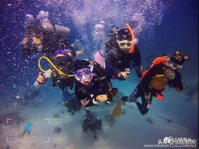 深潜与潜水的区别,自由潜水的意义是什么