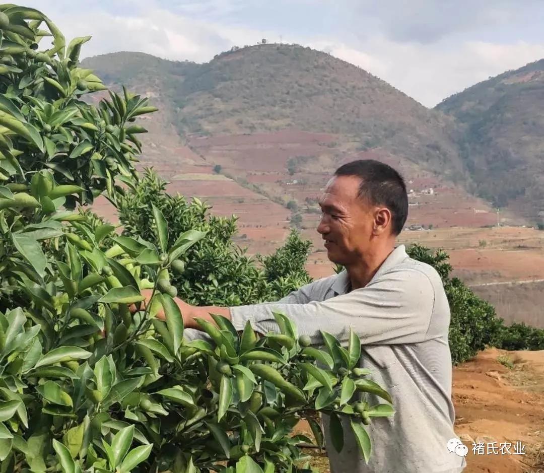 老木匠手艺人,老木匠原木工艺