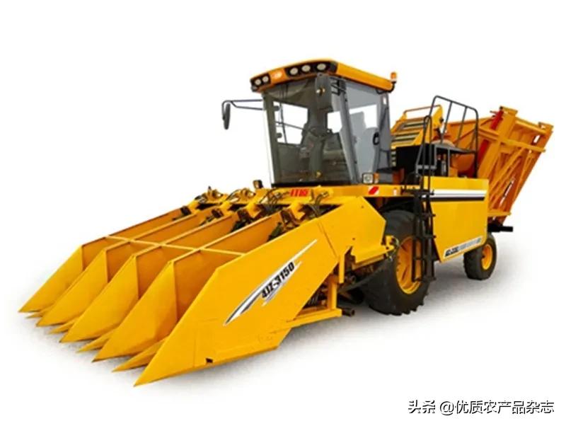 产值高的农产品,亩产经济价值最高的农作物