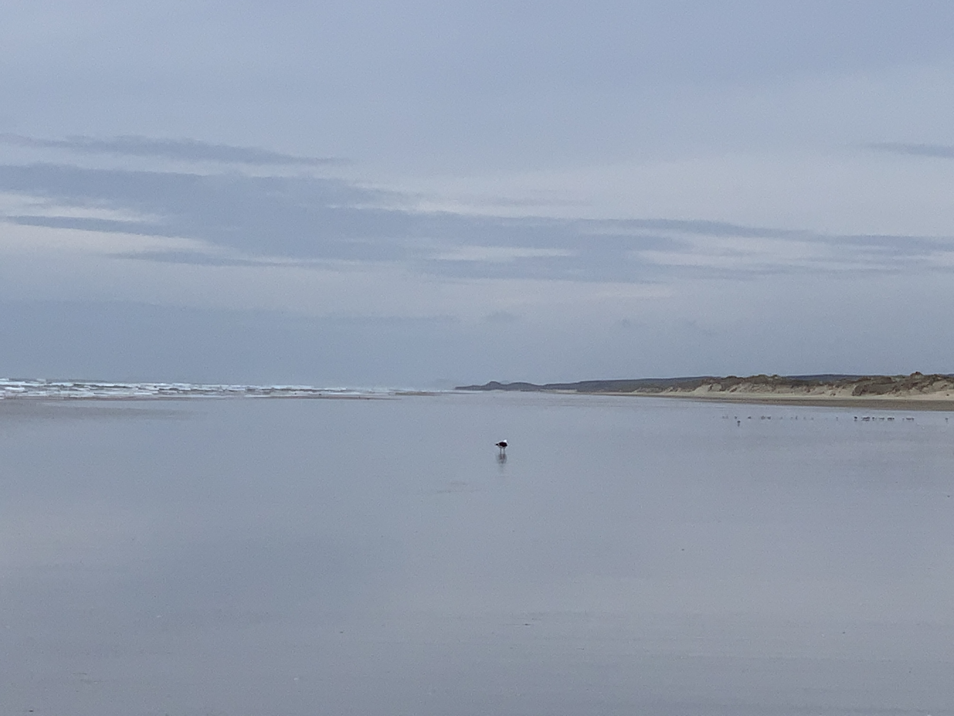 生活在新西兰有多幸福,生活在童话里的国家