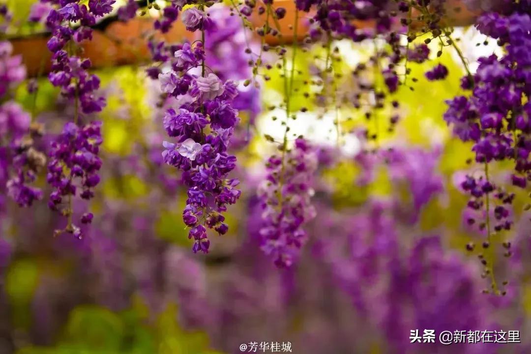 这才是9月最值得去的地方,4月最值得去的地方