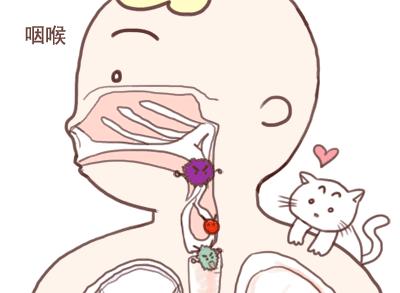 桥本甲亢和结节,桥本甲状腺炎出现轻微甲亢