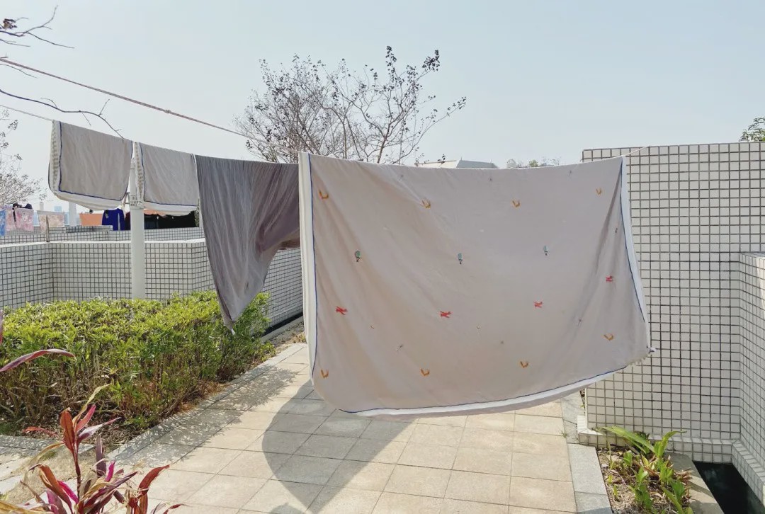 蛋炒饭这样做真好吃,10分钟蛋炒饭