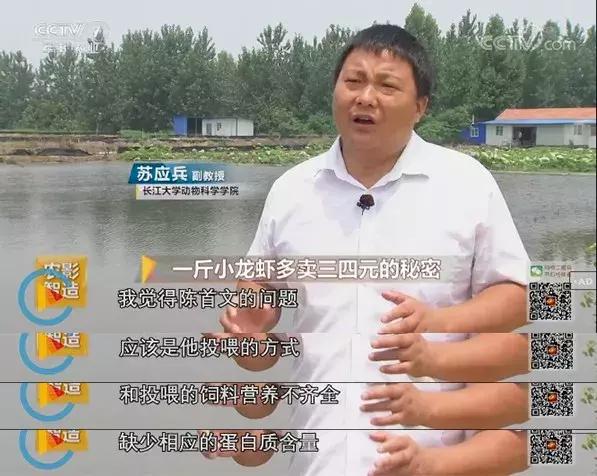 自己跑生意,自己跑业务做什么生意好