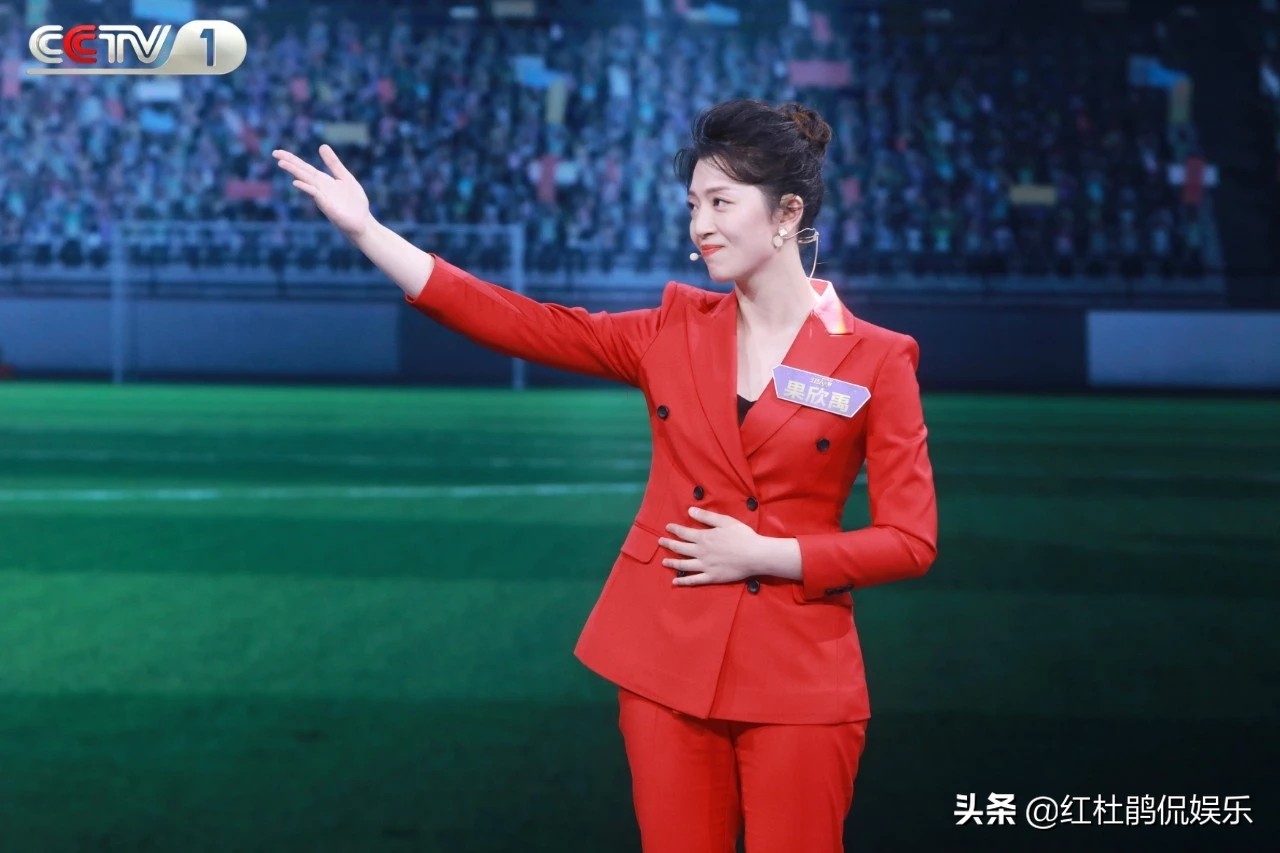 央视新闻女主持人果欣禹,央视主持人果欣禹简介