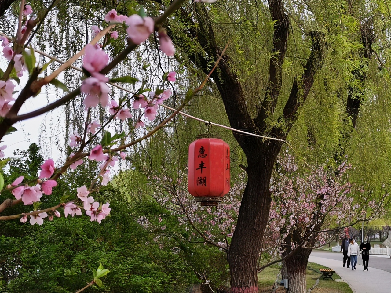 唐山免费开放的足球场,唐山南湖足球公园在哪里