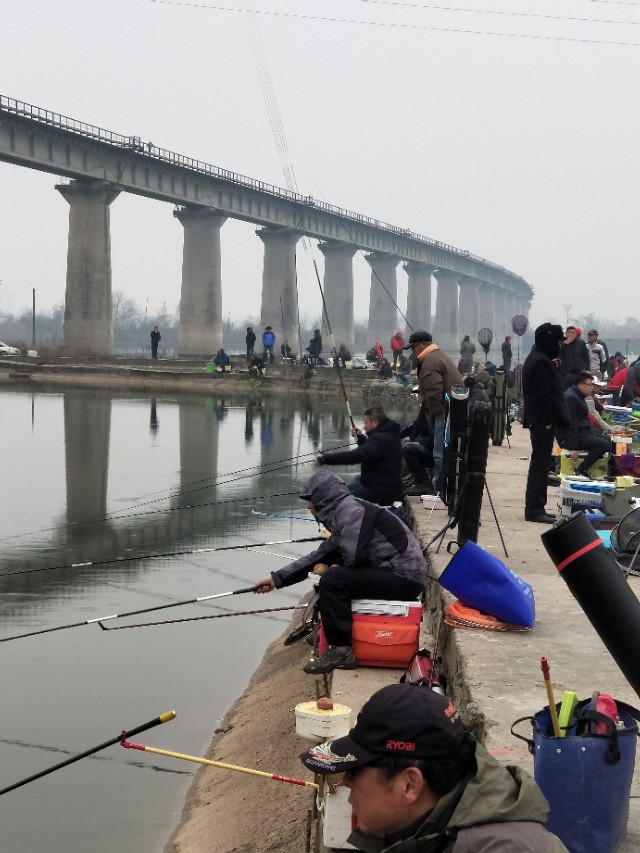 第四届铜牛杯钓鱼比赛,铜陵钓鱼比赛直播