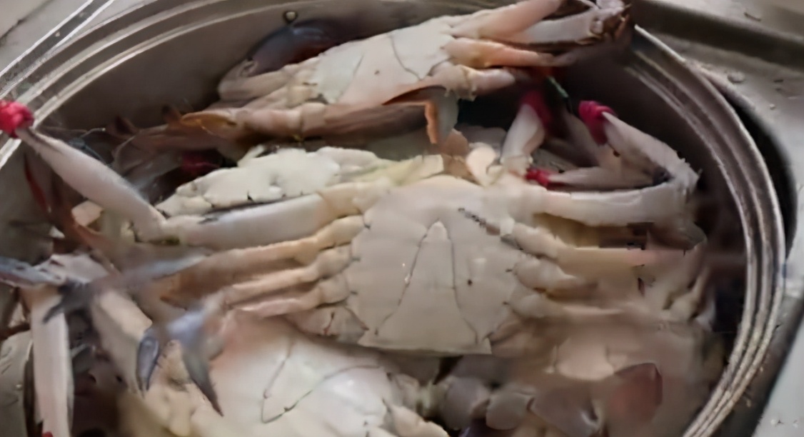 胃里长牙齿、祖先“四不像”，螃蟹的这些小秘密猜你不知道