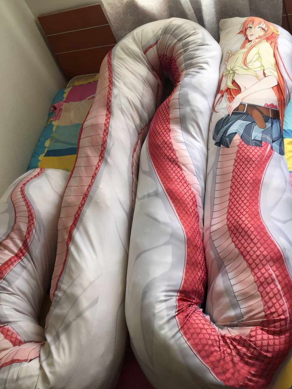 二次元动漫有钱人,二次元漫迷