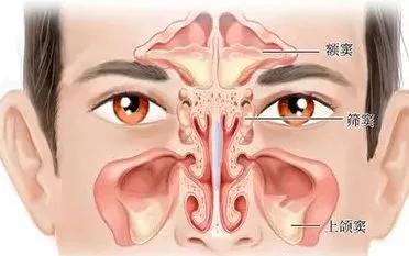 质量评价与内容分析——慢性鼻窦炎指南