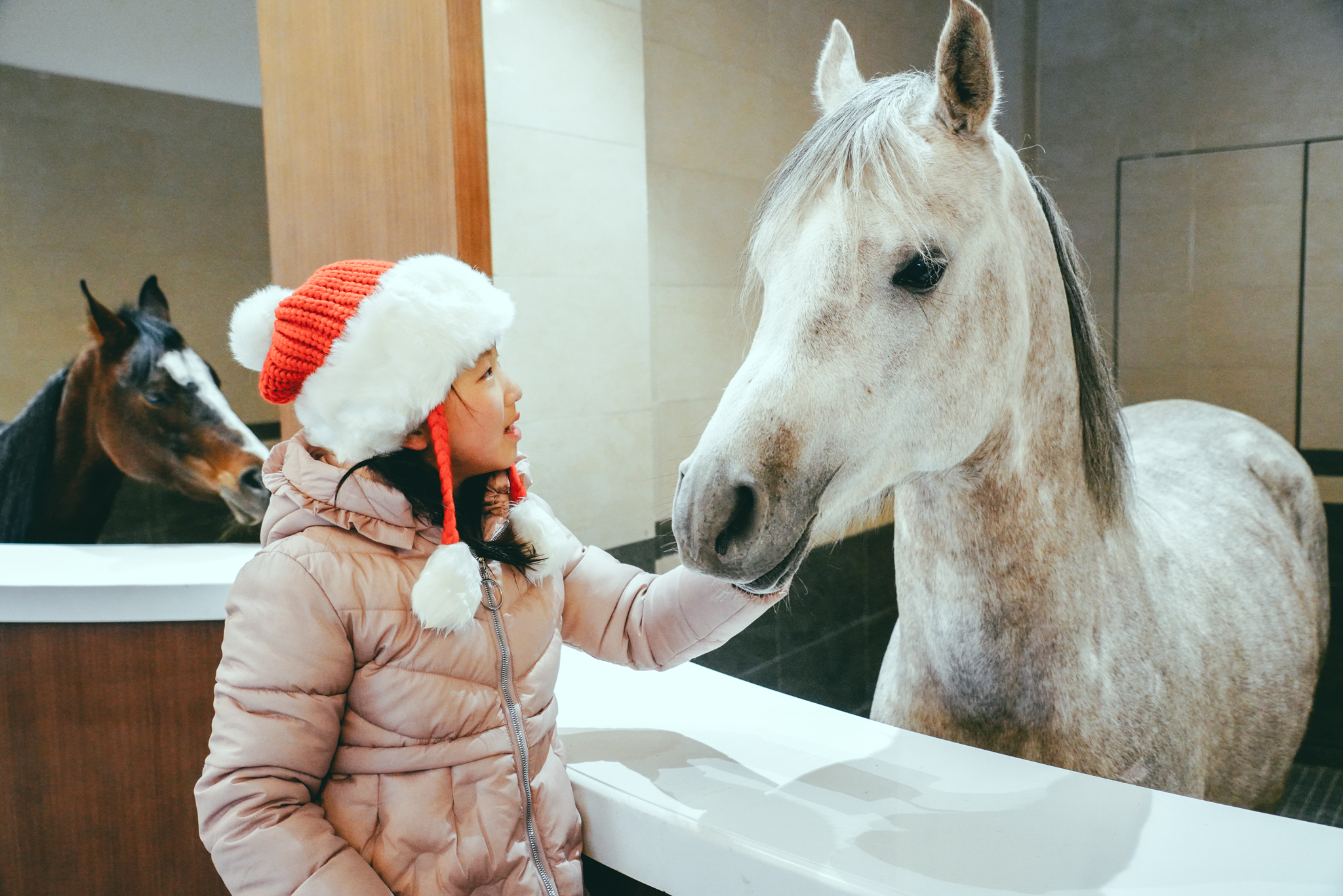 美也声声马鸣，冰雪晶莹！壮哉辽阔草原，新岁康安