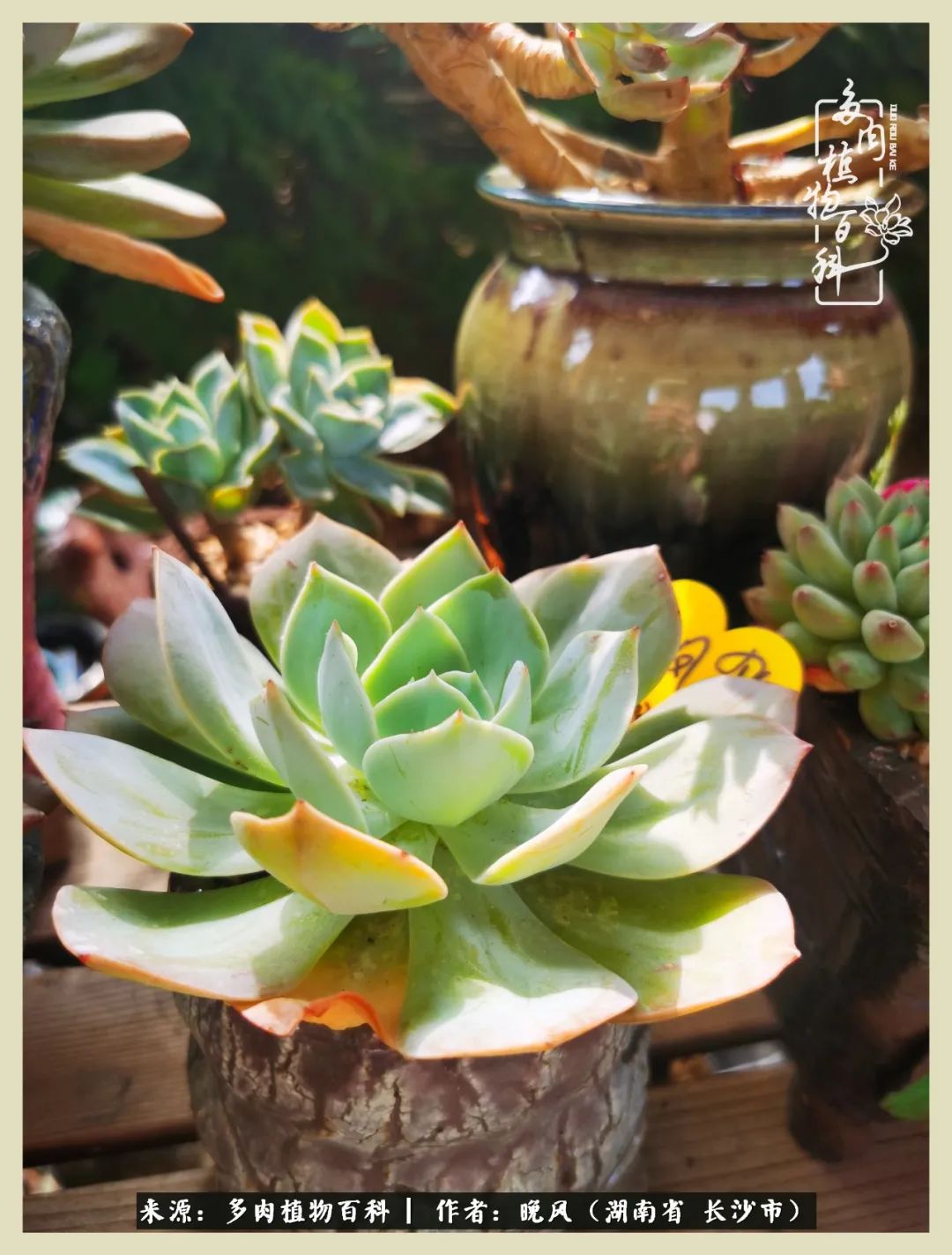 摇身一变成了奶爸,摇身一变成为打工人