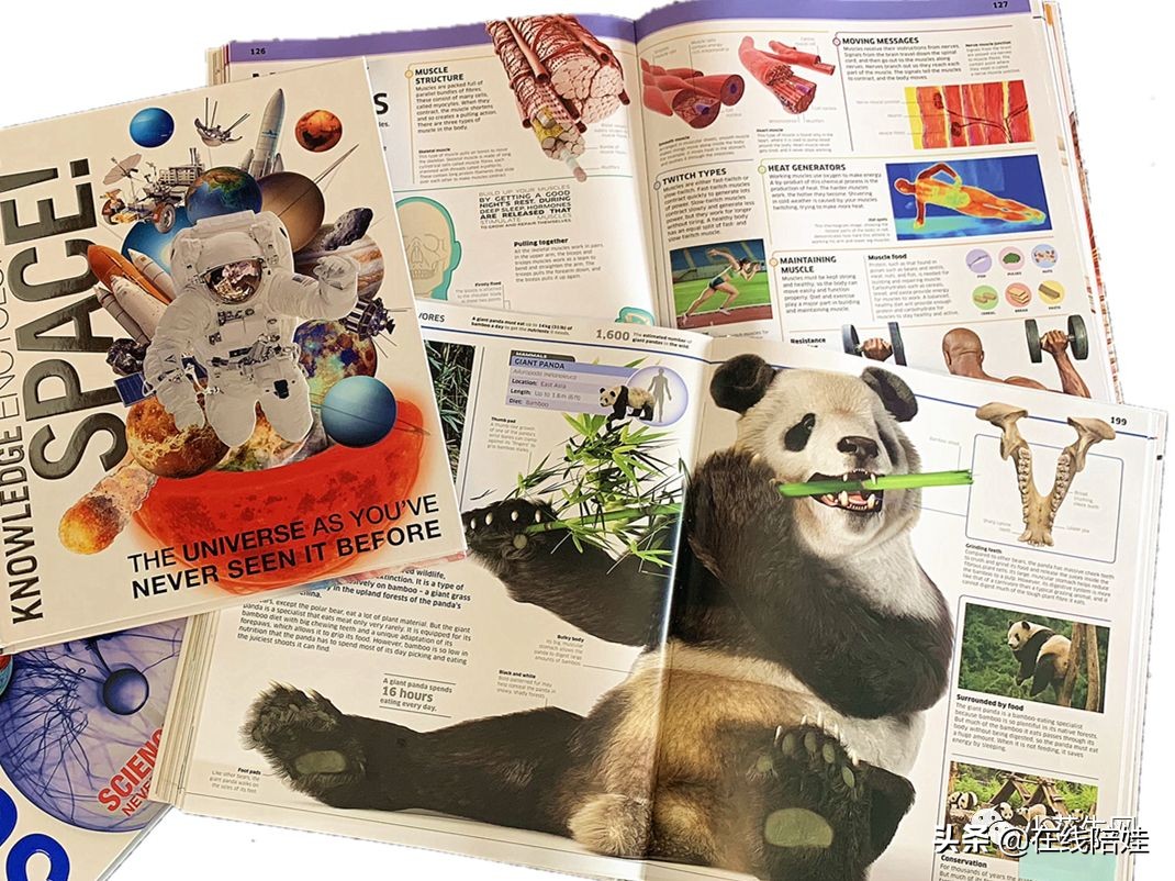 dk知识大百科全套,dk知识大百科书金银版