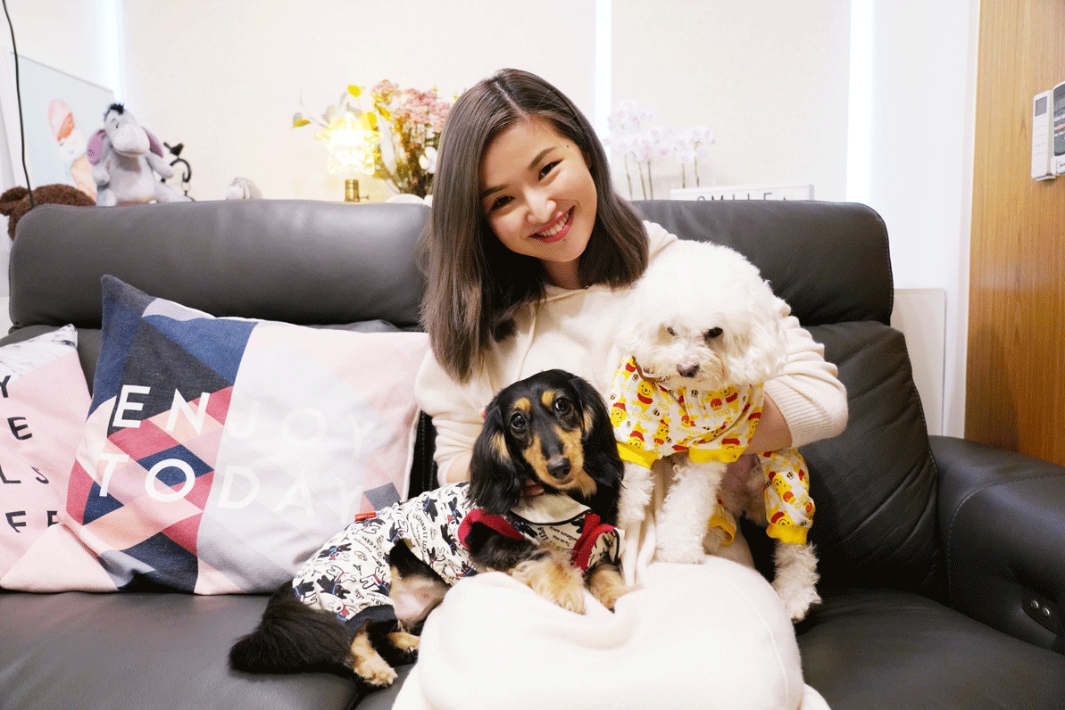 夫妇自驾游遇到狗狗怎么办,夫妻带着狗狗去旅行