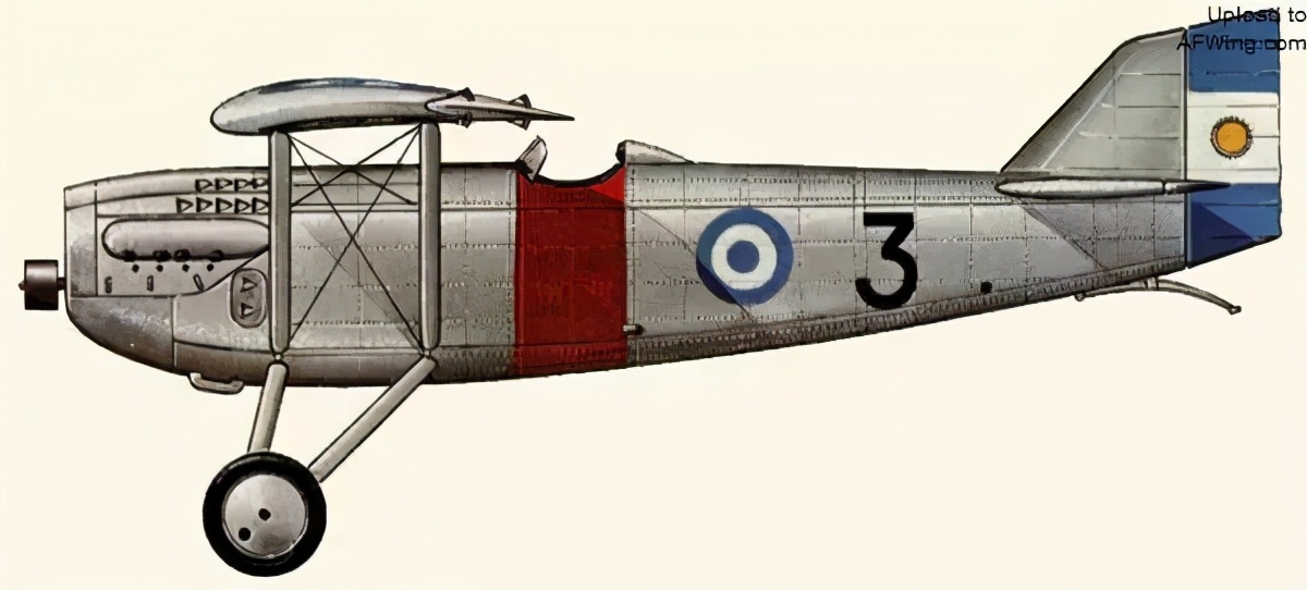 潘帕斯雄鹰回阿根廷,潘帕斯雄鹰和阿根廷巨鹰