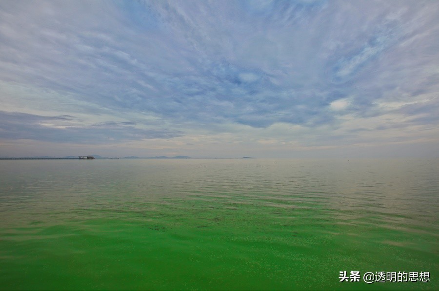 瀵掓绾敓鍛藉ぇ杩涘寲,瀵掓绾敓鍛借繘鍖栫殑杩囩▼