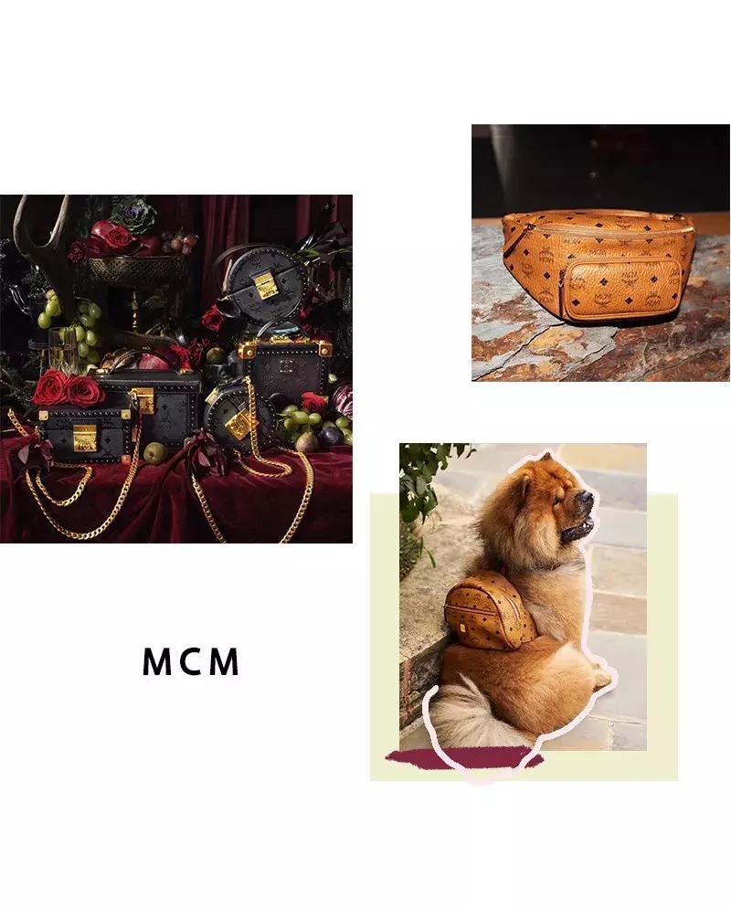 入门轻奢包买蔻驰还是mk,入门级轻奢包推荐咋买