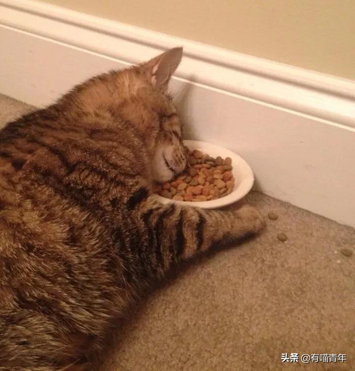 男子报警21岁喜当爹,男子喜当爹做了一件荒唐事