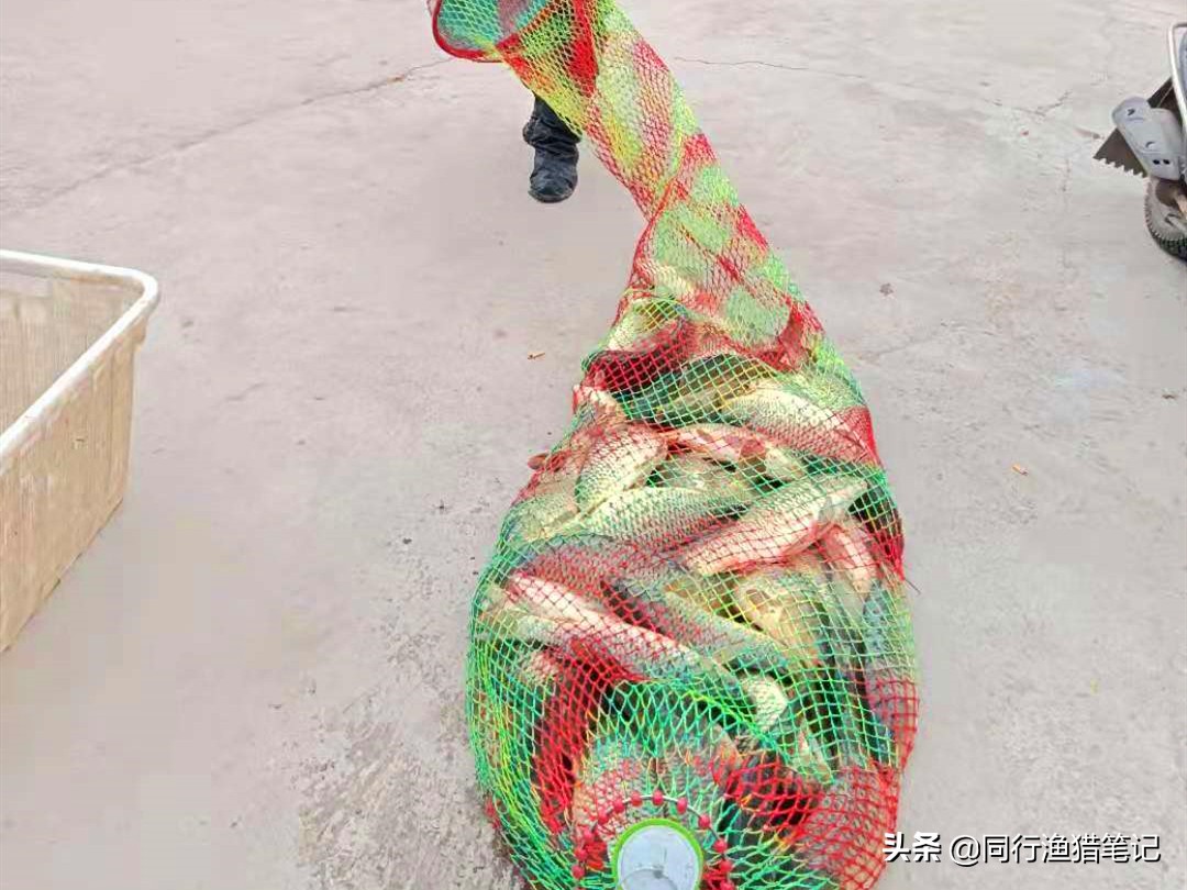 黑坑私人订制票价,私人定制黑坑收费规则