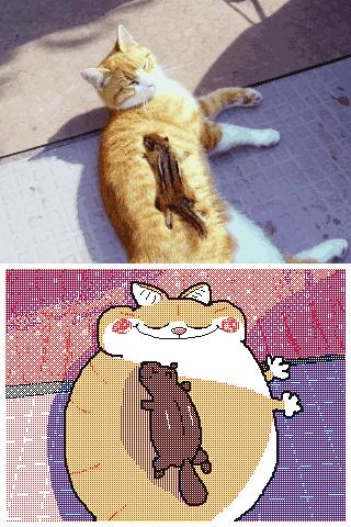 朋友圈九宫格喜感视频,开心到模糊的搞笑动图