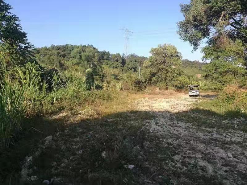 力天斥资6350万拿博罗商服地楼面价3528.7元/㎡