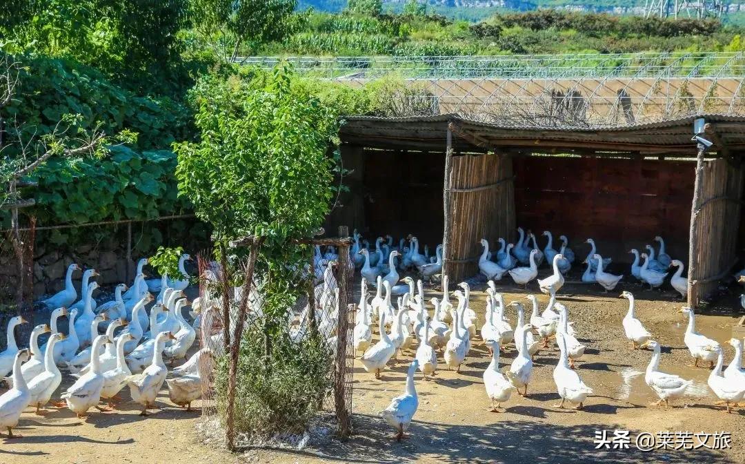 想住民宿去哪旅游,藏于山水间的民宿推荐