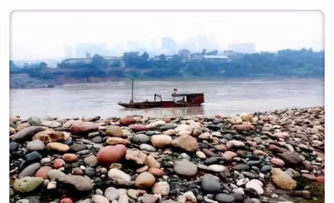 20年的巨蟒蛇,巨蟒蛇一共能活多少年