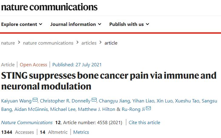 纪如荣团队发现STING在疼痛调控中大有可为