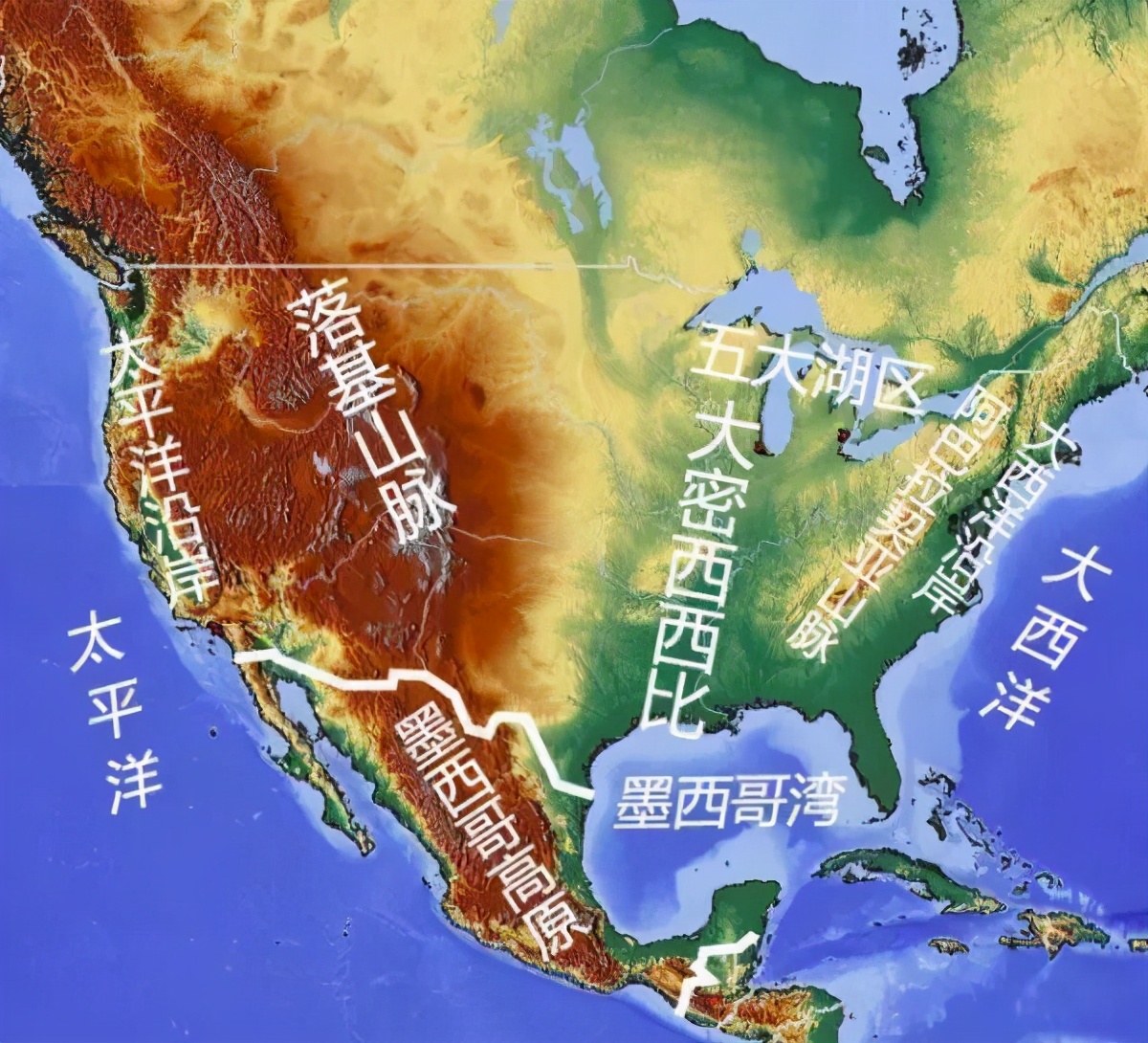 仙人掌要怎么养才能结果,仙人掌怎样才长叶子