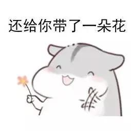 excel打印预览快捷键ctrl加什么,excel内容全选快捷键ctrl加什么