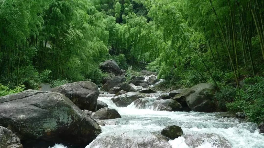 最美的民宿隐藏在森林云海,观光玻璃栈道民宿