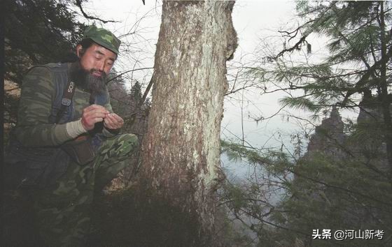寻找野人的张金星现在如何,张金星神农架野人