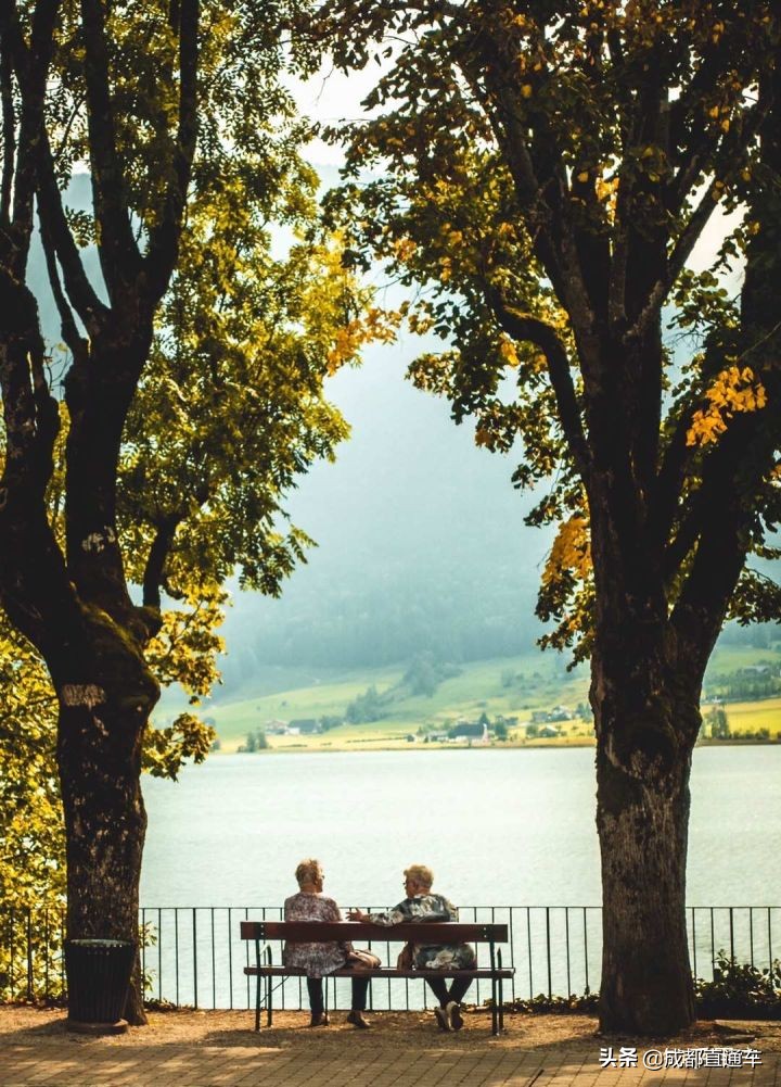 2019你都拍过什么,2019年最怀念的照片