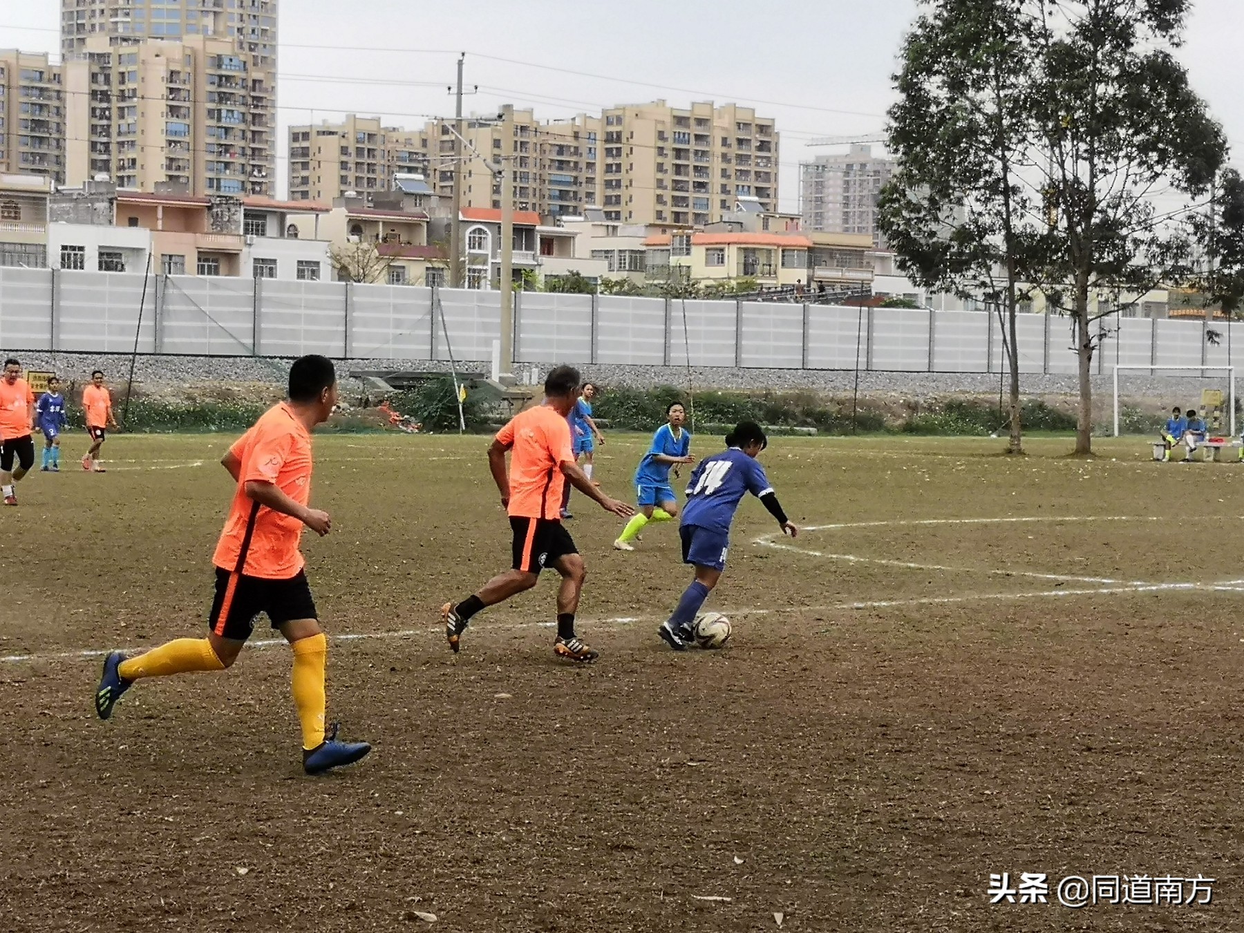 西大校友足球,西大校友足协