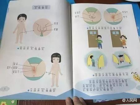 请你谈谈你对性教育的看法,如何给孩子普及正确的性教育