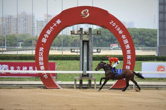 武汉国际赛马节,武汉国际赛马节每届冠军