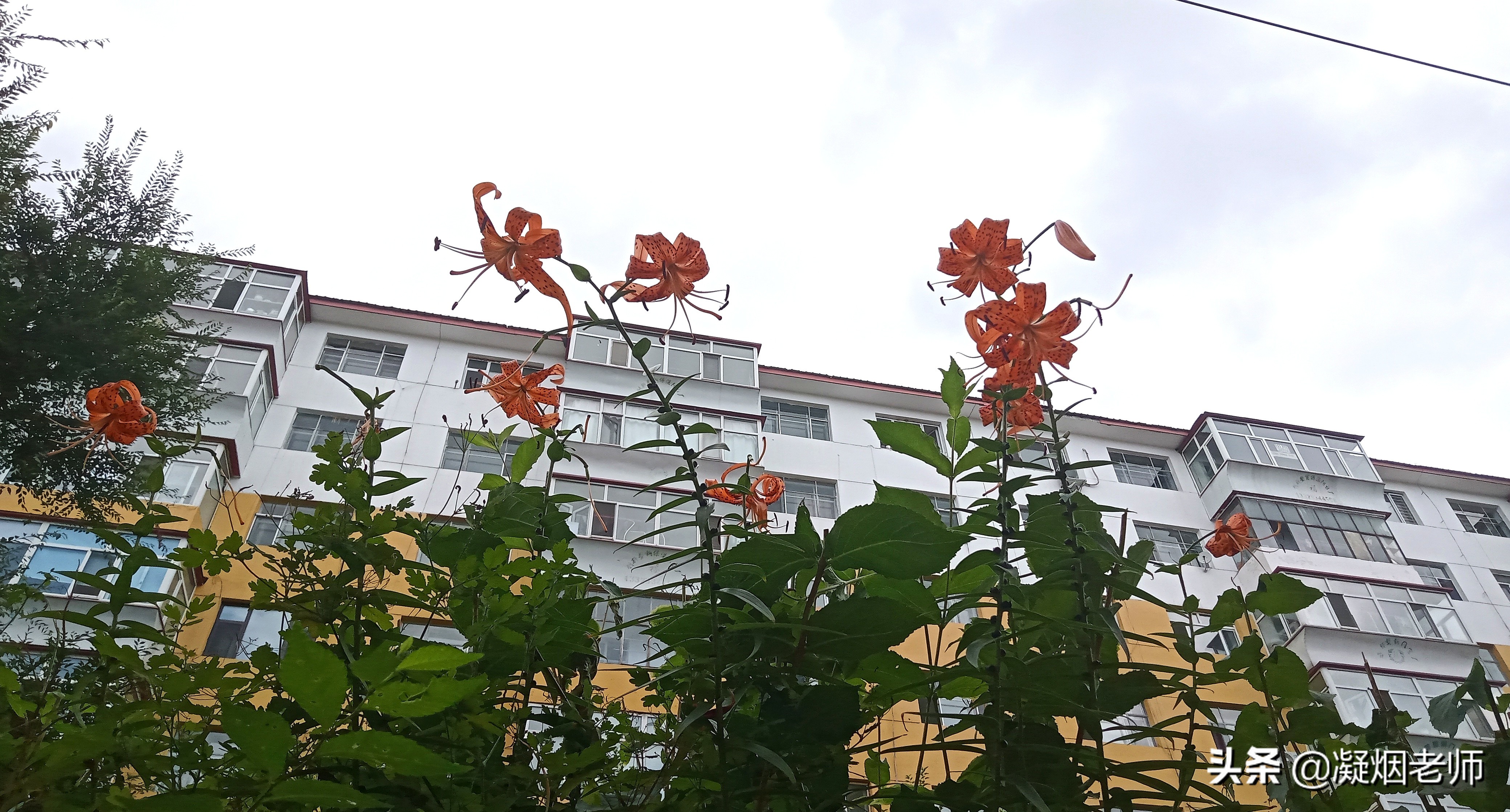 围炉夜话灯下话家常,围炉话家常做法视频