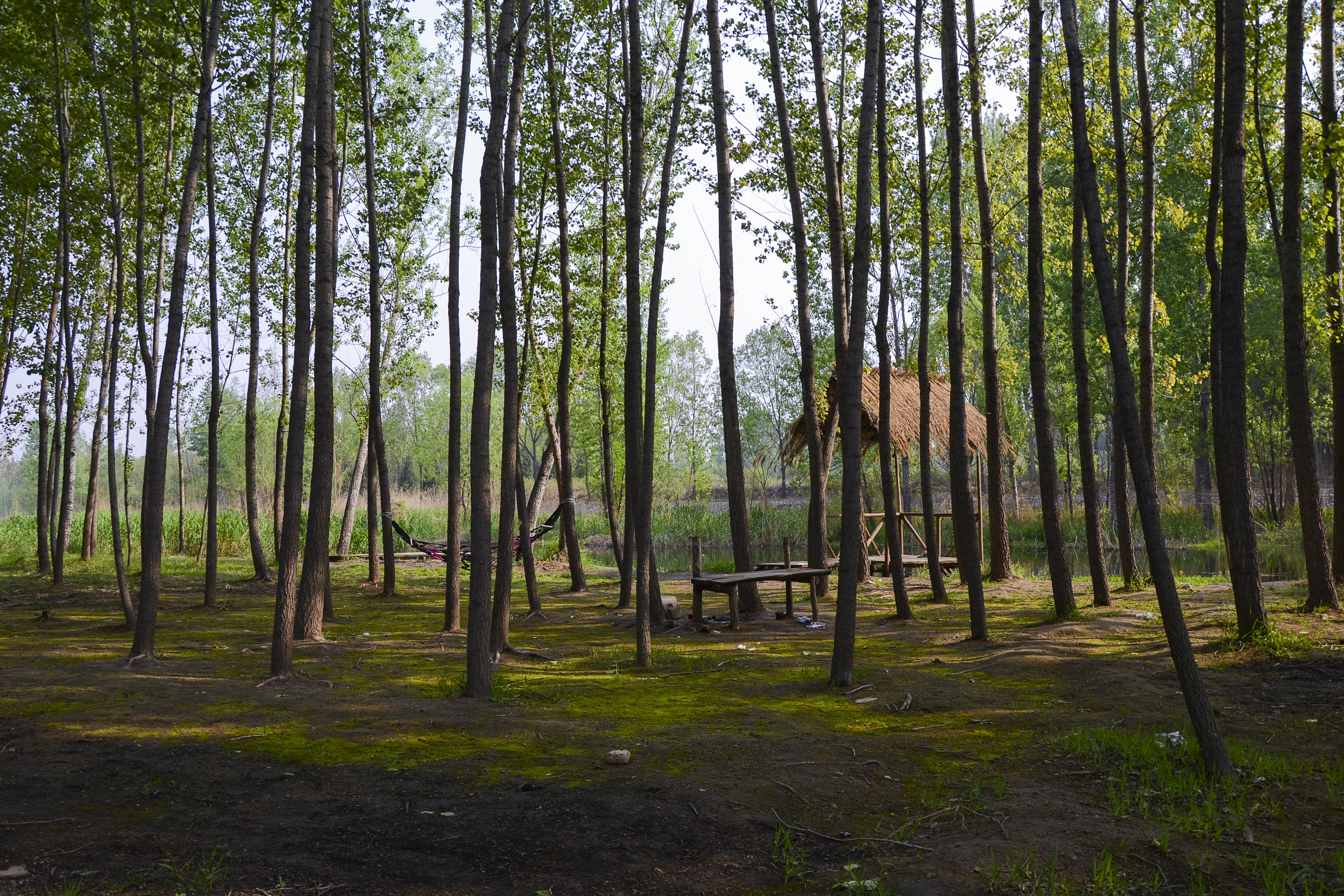 手机摄影装备推荐,川藏线户外摄影装备