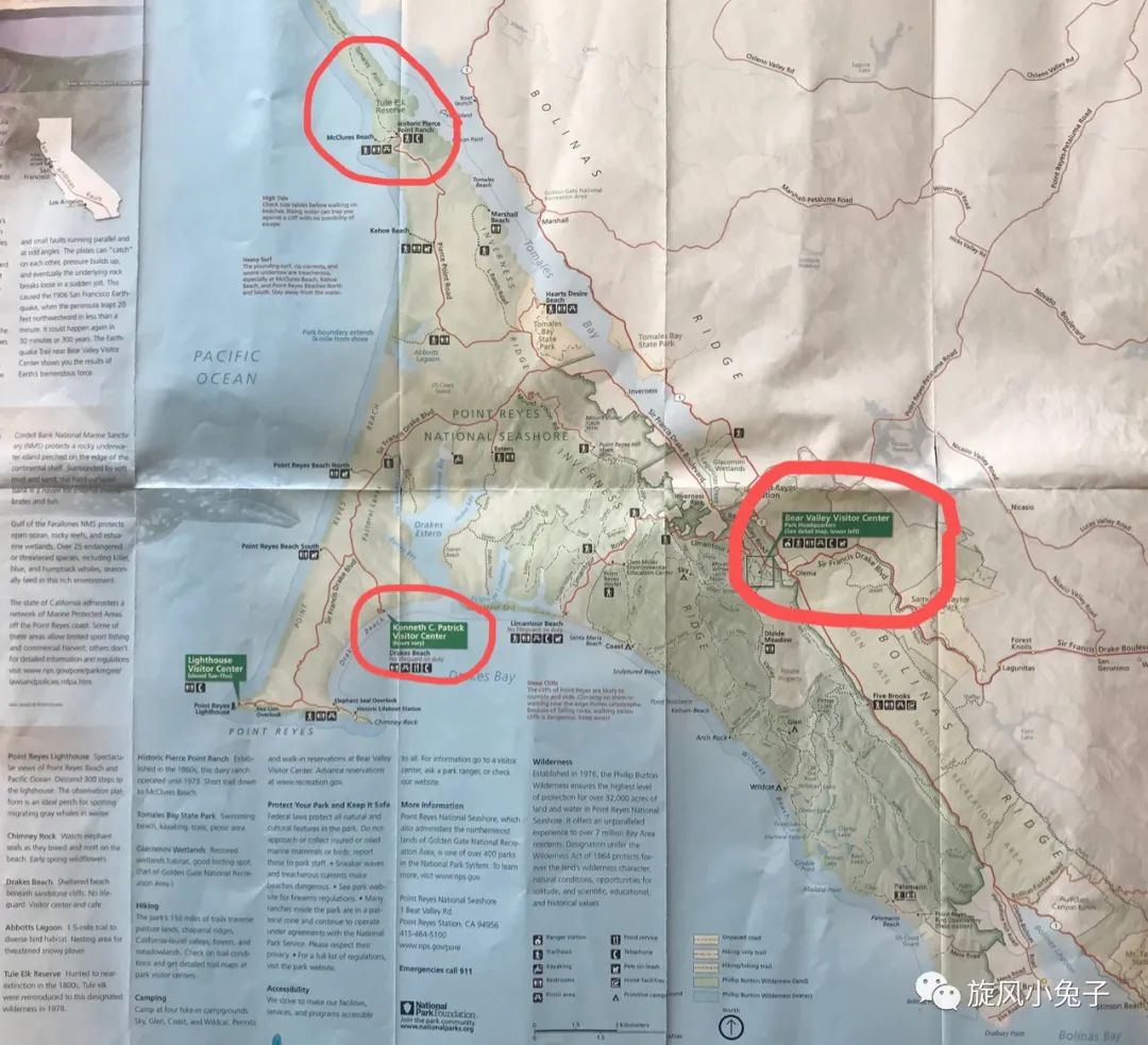 加州沿海1号公路自驾游散装系列（一）：阳光北加的金山依旧