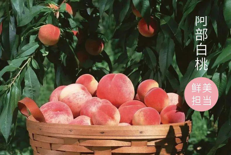 上新蜜桃乌龙茶,上新乌龙茶