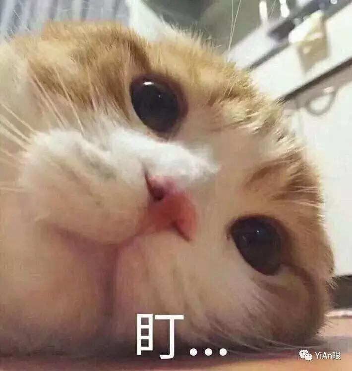 隐形眼镜，摘比戴更难啊朋友们！