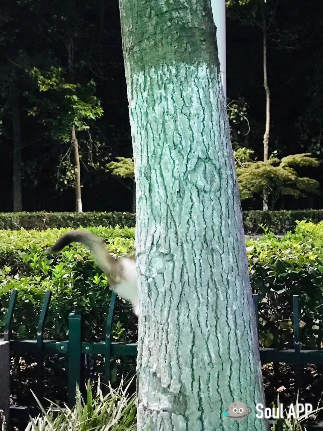 生命的缘分上海视频,生命中的遇见是缘分