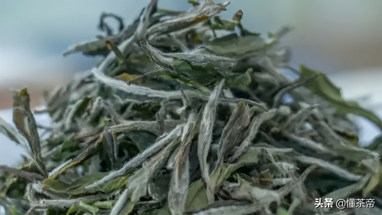 旧白茶怎么辨别好坏图片,陈皮白茶如何辨别好坏