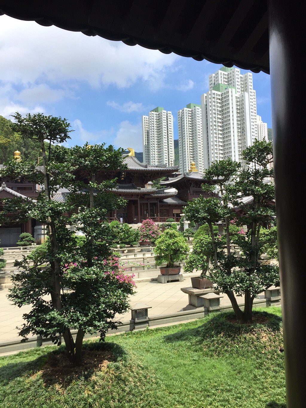 香港志莲净苑地图,香港志莲净苑好玩吗