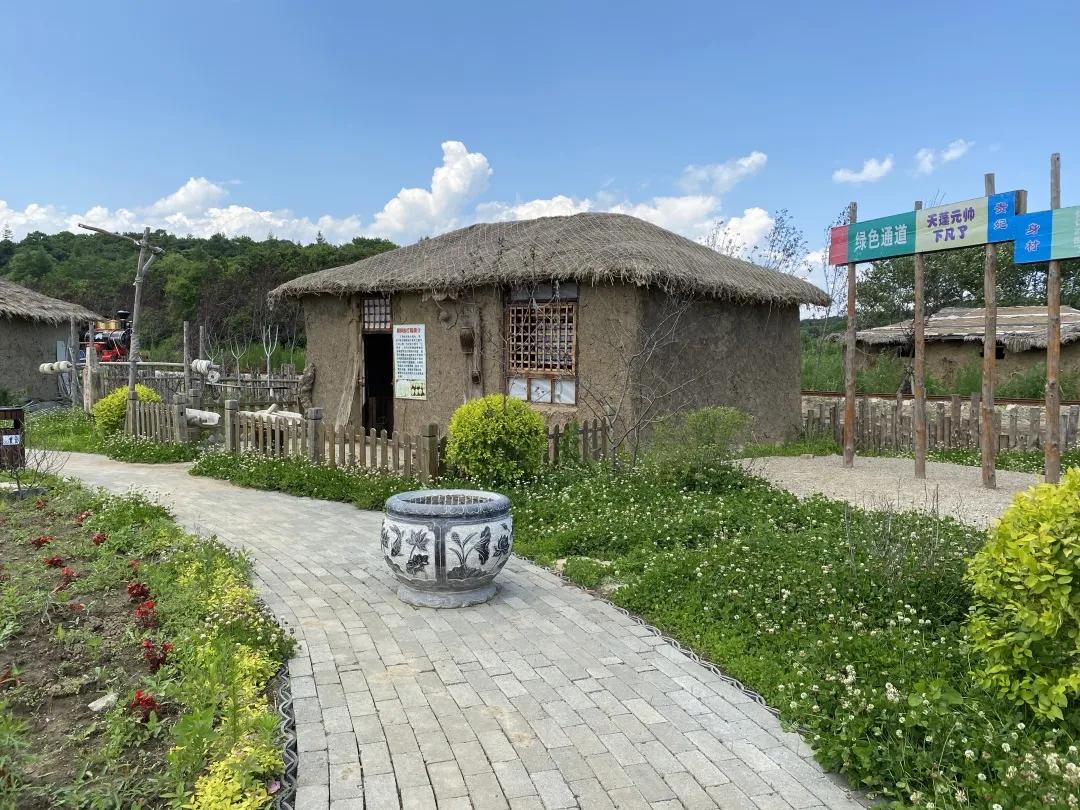 醉花海古镇美景,醉舞花海