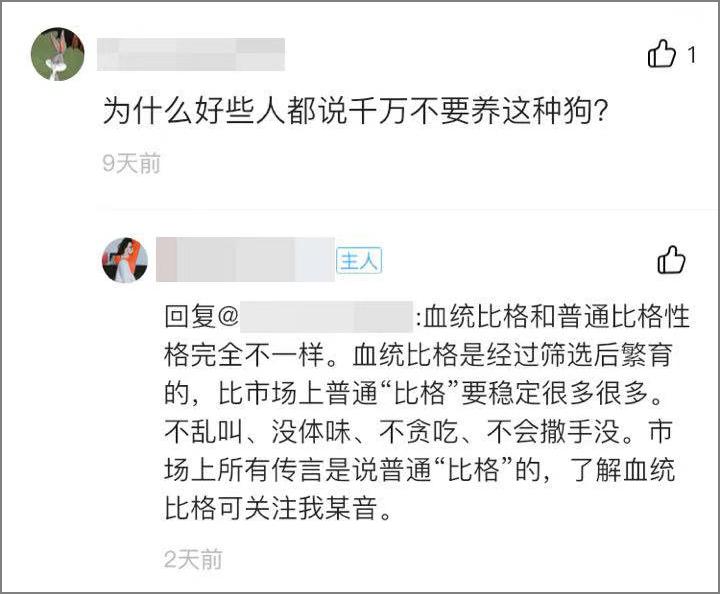 田园猫得了猫瘟，医生劝“别治了，治病的钱够买一只品种猫了…”