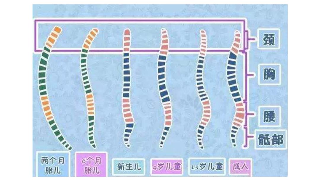 如何选购安全座椅,安全座椅品牌选购注意事项