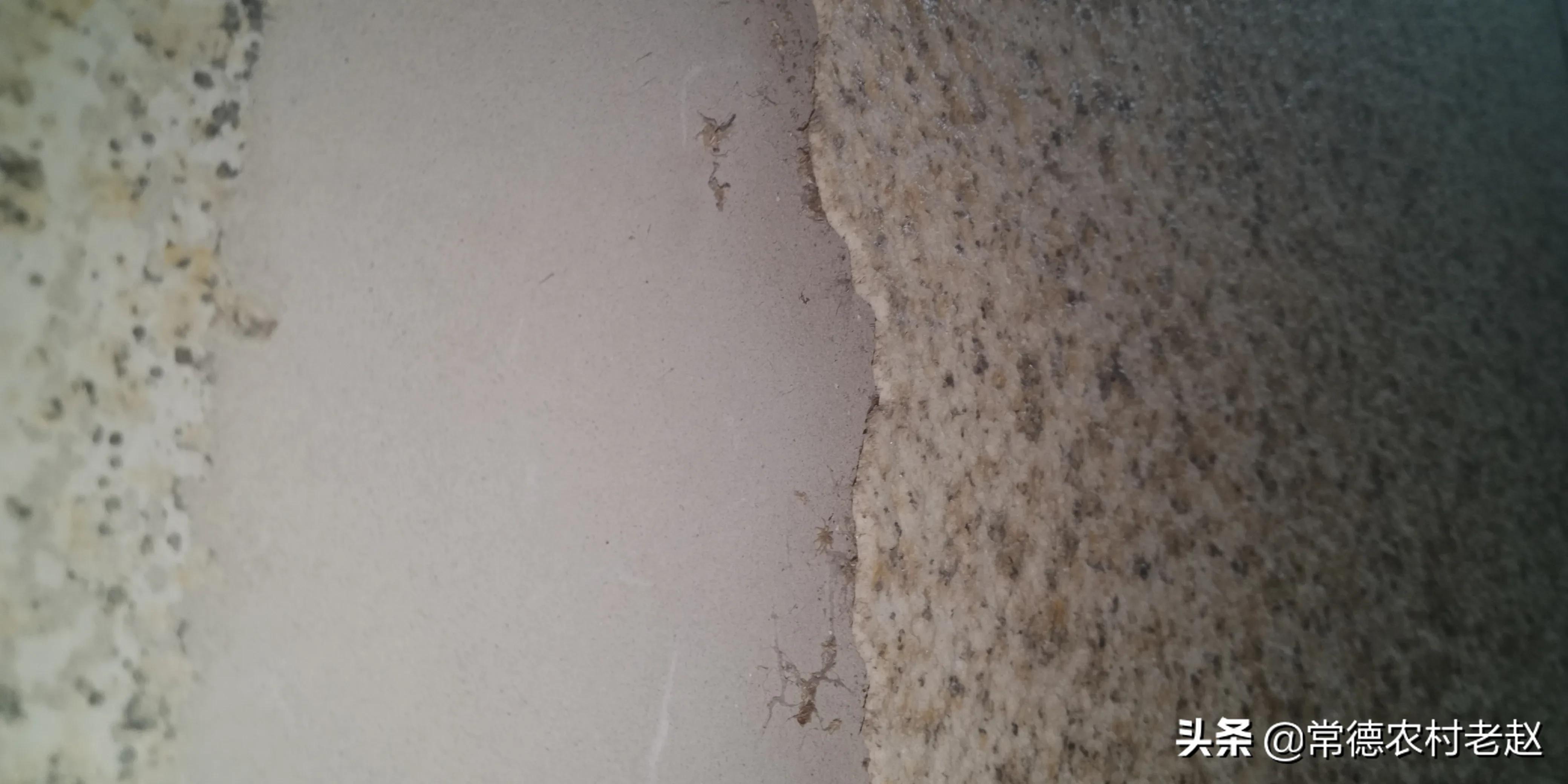 现在农村建房都是真石漆吗,农村盖房实惠的真石漆