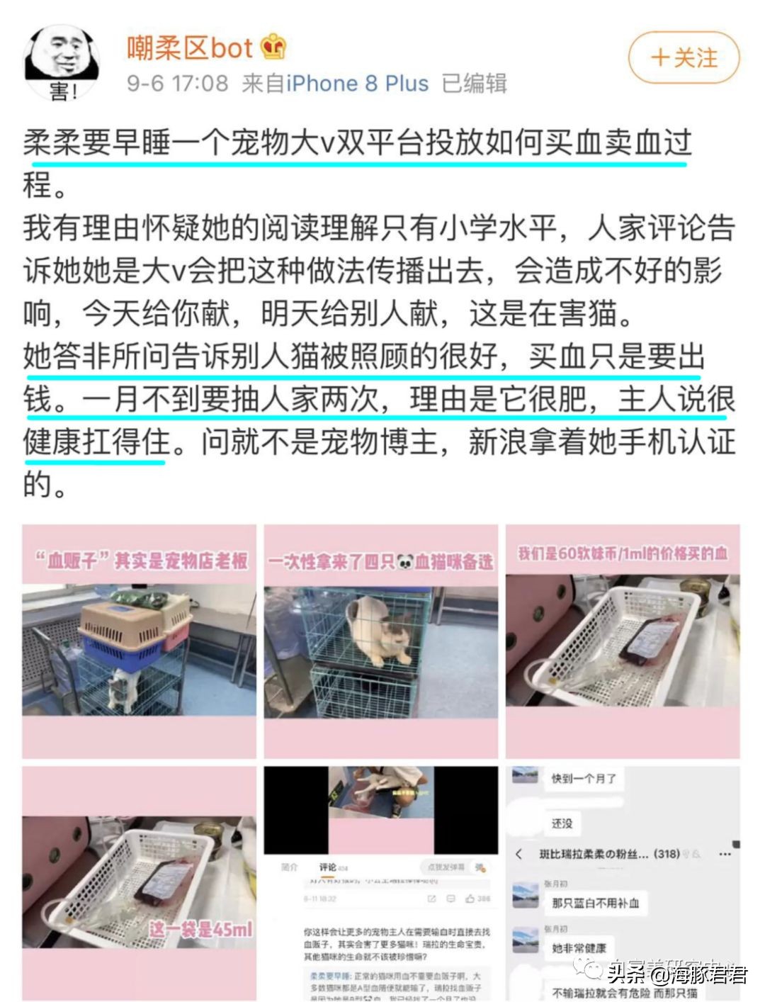 北京小公主靠吸猫血成百万大V,直播整容、大照骗、2年养死3只猫